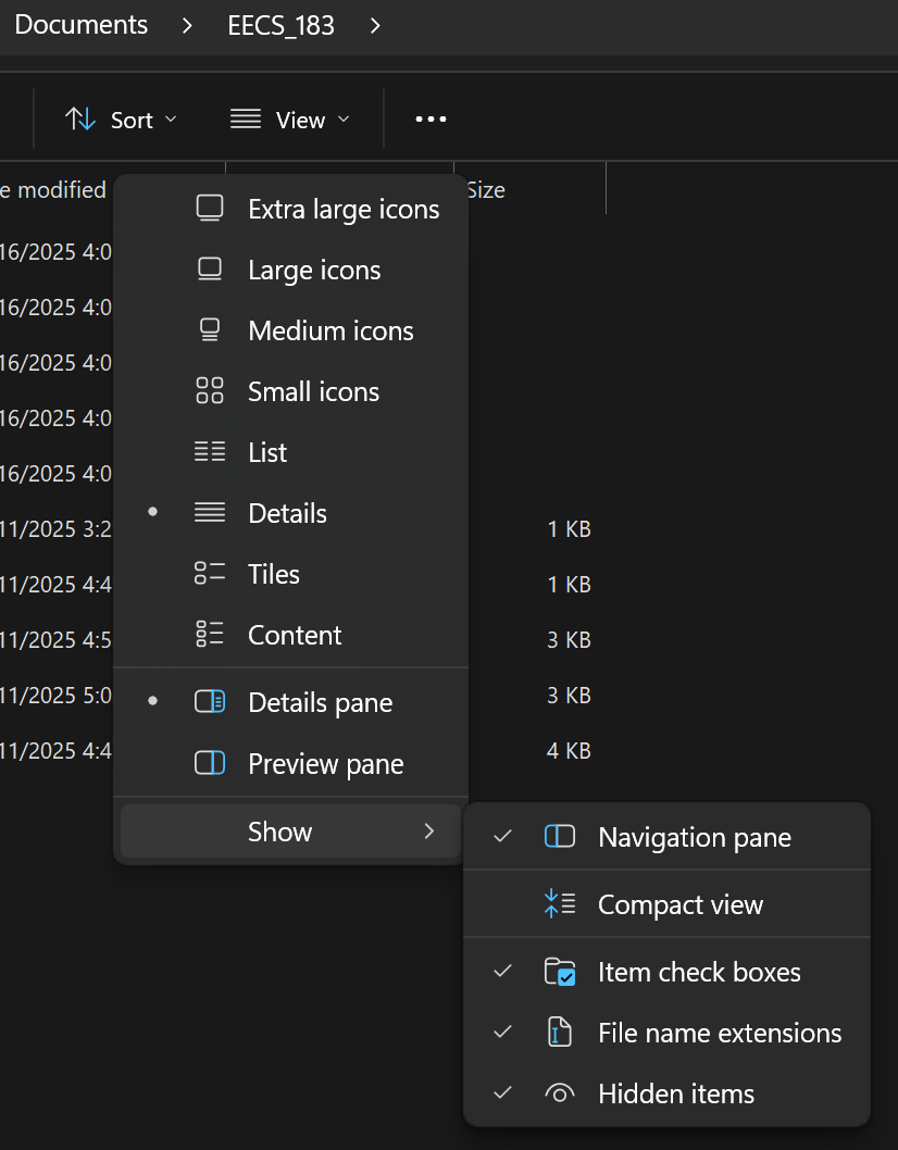 View option in File Explorer